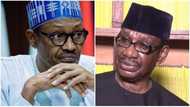 Sack cabals in your government, they are not useful - Professor Sagay tells Buhari