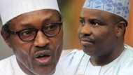 Tambuwal ya yi karya? Muhimman ayyuka 17 da Buhari ya yi ma al'ummar jihar Sakkwato