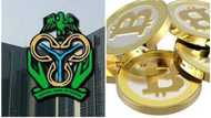They are not legal tenders in Nigeria - CBN bans bitcoin, onecoin, others