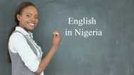 The origin of English language in Nigeria: top facts you should know