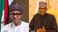 Alarming reporting claiming President Buhari is allegedly so sick he cannot eat or drink is NOT TRUE - Presidency