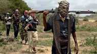20,000 people killed in Boko Haram attacks