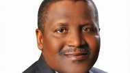 Kudin da Dangote ke samu a yini na iya biyan bukatan talaka a shekara