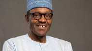 Anti-corruption war: Is Buhari winning?