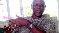 APC Crisis: Why Oyegun May Be Sacked Tomorrow