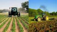 What are the advantages and disadvantages of arable farming?