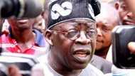I Will Never Recognise Saraki As Senate President - Bola Tinubu