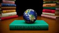 The importance of social studies in primary school