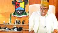 You must treat Buhari’s office with all reverence it deserves - Lawmaker tells presidential media aide