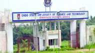 Kidnapped Ondo university lecturer found dead