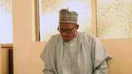 Abun da 'yan Najeriya ke cewa game da zuwan Shugaba Buhari tafsir