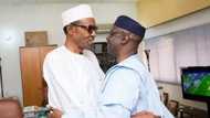 Buhari wanted a vice president that can rule Nigeria in his place if he dies - Bakare