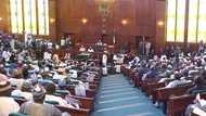 More federal lawmakers will leave their parties to join APGA - Spiritual leader