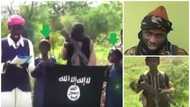 Where is Buhari now, he is boasting that he’ll clear us - Boko Haram mocks government in new video
