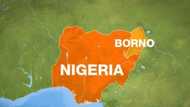 Boko Haram raid kills 3 in northeast