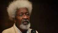 OAU vice chancellorship: Ife indigenes must be crazy, Wole Soyinka rants