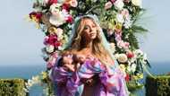 Too much money! Beyonce and Jay-Z hire 18 employees for their babies