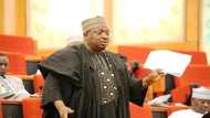 Sauya sheka: Wani Sanatan PDP yayi karin haske game da batun komawar sa APC