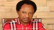 Shehu Sani finally reveals why he exposed senators' jumbo pay