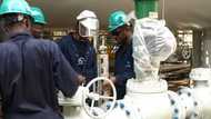 Chemical industries in Nigeria