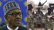 Security expert warns FG over Boko Haram's threat to bomb Abuja, says it is real