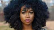 Top Nigerian natural hair bloggers to follow