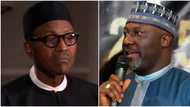 We are not meant to rubber stamp anything you present, feel free to return the budget - Dino Melaye tells Buhari