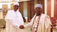 Buhari is focused and sincere, deserves a second term - Alake of Egbaland counters Obasanjo