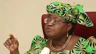 Fear Of Buhari: Former Minister For Finance, Okonjo-Iweala Cries- Out