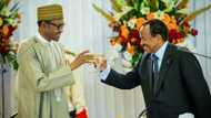 None Of Us Can Succeed Alone – President Buhari