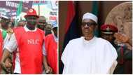 Sack some ministers now - NLC tells Buhari