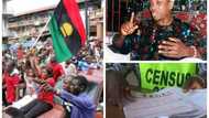 Biafra can be achieved with guns! MASSOB lashes at Uwazuruike, give conditions for 2018 census