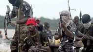 Niger Delta militants kidnap 4 British missionaries