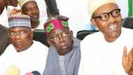 Fulani Dominance And Tinubu's Betrayal