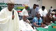 National convention: Southwest PDP torn between VP, national chairmanship slots