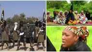 Rescue us like you rescued Chibok girls - 10 women abducted by Boko Haram beg FG (photos, video)