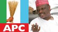 APC chieftain reveals why Kwankwaso stayed away from party's national convention