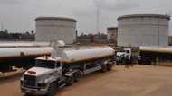 Petrol scarcity looms in Enugu, Anambra, Ebonyi as IPMAN withdraws services