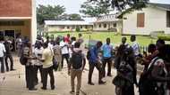 NUC advised to reverse expulsion of 'politically expelled' students of tertiary institutions