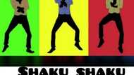 Popular Olamide's Shaku Shaku dance and its roots