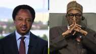 Buhari should not have signed 2018 Budget - Shehu Sani