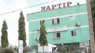 NAPTIP ta kai sumame gidan marayu a Kaduna, ta kwashe yara ta tafi dasu Kano