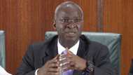 End estimated billing now - Fashola tells DISCOs