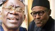 Femi Falana speaks on Buhari's health condition