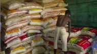 Rice smuggling: Nigeria to shut land border in few days