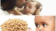 Benefits of soya beans to babies: All the details to know