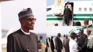 LIVE UPDATES: Buhari arrives Nigeria after 105 days in London (photos, video)