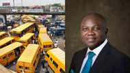 3 major reasons Gov Ambode is banning YELLOW DANFO buses this year