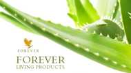 Top Forever living products and their uses you should know about