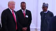 Trump invites President Buhari to White House